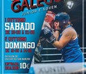 Campeonato Gallego Júnior y Joven de Boxeo