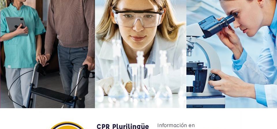 El Colegio SEI San Narciso incrementa su oferta de Ciclos de Formación Profesional